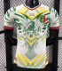 Mali Special Edition Player 1:1 Quality Soccer Jersey 26/27（2026）