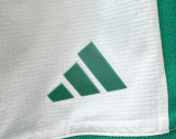 Algeria Home Player 1:1 Quality Soccer Shorts 26/27（2026）