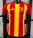 Spain Special Edition Player 1:1 Quality Soccer Jersey 26/27（2026）