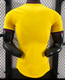 Colombia Special Edition Player 1:1 Quality Soccer Jersey 26/27（2026）