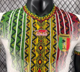 Mali Special Edition Player 1:1 Quality Soccer Jersey 26/27（2026）