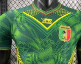 Mali Special Edition Player 1:1 Quality Soccer Jersey 26/27（2026）