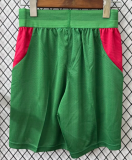 Morocco Home Player 1:1 Quality Soccer Shorts 26/27（2026）