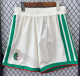 Algeria Home Player 1:1 Quality Soccer Shorts 26/27（2026）