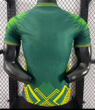 Mali Special Edition Player 1:1 Quality Soccer Jersey 26/27（2026）