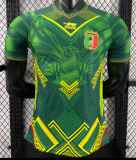 Mali Special Edition Player 1:1 Quality Soccer Jersey 26/27（2026）
