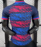 Barcelona Special Edition Player 1:1 Quality Soccer Jersey 25/26