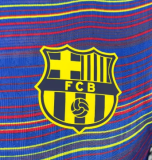 Barcelona Goalkeeper Player 1:1 Quality Soccer Jersey 25/26