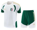 Italy 1:1 Quality Training Jersey（A-Set）26/27（2026）