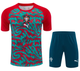 Portugal 1:1 Quality Training jersey（A-Set）26/27（2026）
