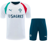 Portugal 1:1 Quality Training jersey（A-Set）26/27（2026）