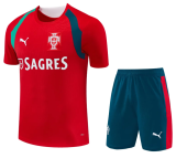 Portugal 1:1 Quality Training jersey（A-Set）26/27（2026）