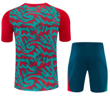 Portugal 1:1 Quality Training jersey（A-Set）26/27（2026）