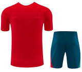 Portugal 1:1 Quality Training jersey（A-Set）26/27（2026）