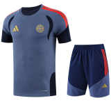 Bayern Munich  1:1 Quality Training Jersey（A-Set）26/27