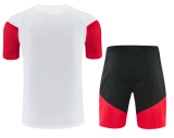 Germany 1:1 Quality Training Jersey（A-Set）26/27（2026）