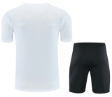 PSG 1:1 Quality Training Jersey（A-Set）26/27