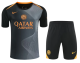 Inter Milan 1:1 Quality Training Jersey（A-Set）26/27