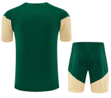 Real Madrid 1:1 Quality Training Jersey（A-Set）26/27