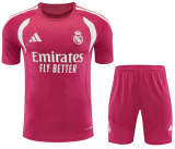Real Madrid 1:1 Quality Training Jersey（A-Set）26/27