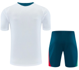 Portugal 1:1 Quality Training jersey（A-Set）26/27（2026）