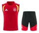 Germany 1:1 Quality Training Vest（A-Set）26/27（2026）