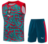 Portugal 1:1 Quality Training Vest（A-Set）26/27（2026）