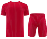 Manchester United 1:1 Quality Training Jersey（A-Set）26/27