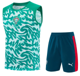 Portugal 1:1 Quality Training Vest（A-Set）26/27（2026）