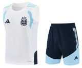 Argentina 1:1 Quality Training Vest（A-Set）26/27