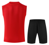 Arsenal 1:1 Quality Training Vest（A-Set）26/27