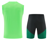 Mexico 1:1 Quality Training Vest（A-Set）26/27（2026）