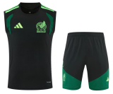 Mexico 1:1 Quality Training Vest（A-Set）26/27（2026）