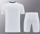 Roma 1:1 Quality Training Jersey（A-Set）26/27