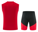 Germany 1:1 Quality Training Vest（A-Set）26/27（2026）