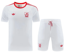 Liverpool 1:1 Quality Training Jersey(A-Set)26/27 Liverpool 1:1 Quality Training Jersey(A-Set)26/27