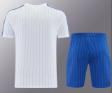 Chelsea 1:1 Quality Training Jersey（A-Set）26/27
