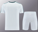 Liverpool 1:1 Quality Training Jersey（A-Set）26/27