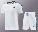 Newcastle 1:1 Quality Training Jersey（A-Set）26/27