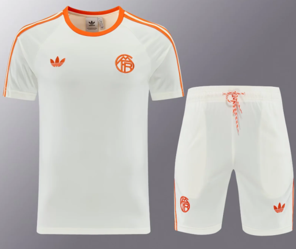 Bayern Munich  1:1 Quality Training Jersey（A-Set）26/27