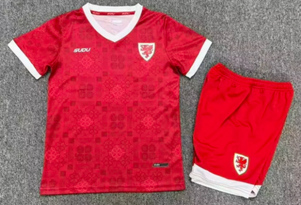 Wales Home Kids 1:1 Quality Soccer Jersey 26/27（2026）