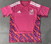 Mexico Goalkeeper Fans 1:1 Quality Soccer Jersey 26/27（2026）