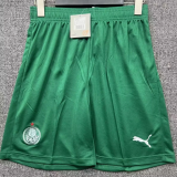 Palmeiras Home Fans 1:1 Quality Soccer Shorts 25/26