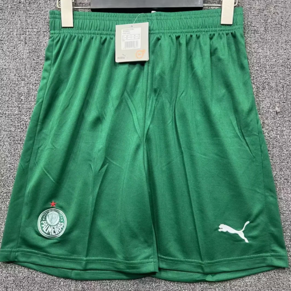 Palmeiras Home Fans 1:1 Quality Soccer Shorts 25/26