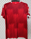 FC Nürnberg Home Fans 1:1 Quality Soccer Jersey 26/27
