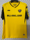 Dynamo Dresden Home Fans 1:1 Quality Soccer Jersey 26/27