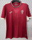 Cordoba Third Away Fans 1:1 Quality Soccer Jersey 26/27