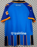 Real Betis Special Edition Fans 1:1 Quality Soccer Jersey 26/27