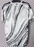 Colo-Colo Special Edition Fans 1:1 Quality Soccer Jersey 26/27