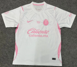 Chivas(Guadalajara) Special Edition Fans 1:1 Quality Soccer Jersey 26/27